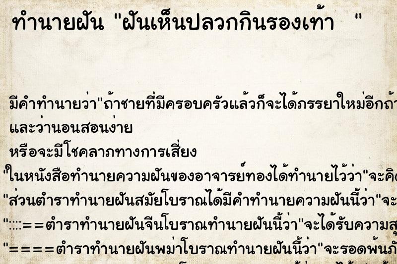 ทำนายฝัน ฝันเห็นปลวกกินรองเท้า  